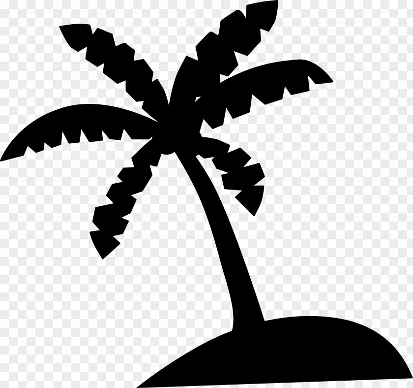 Palm Trees Clip Art Coconut Illustration PNG