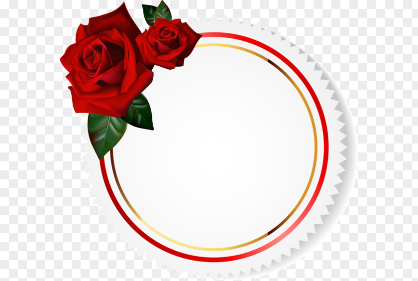 Rose Garden Roses Clip Art PNG