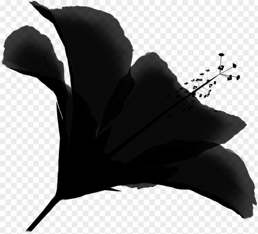 Silhouette Beak Black M PNG