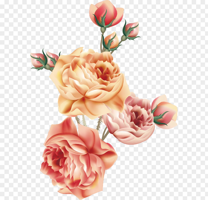 Vector Flower Garden Roses Centifolia Napkin Victorian Era Rosa Chinensis PNG