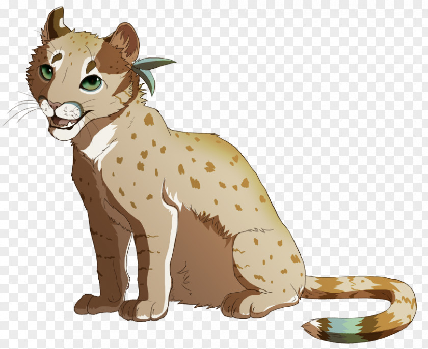 Cheetah Lion Whiskers Cat Cougar PNG
