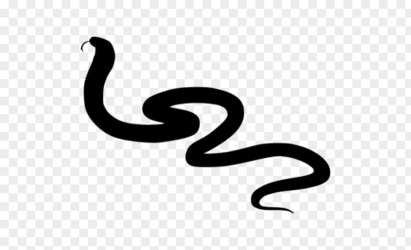 Snake Black Rat Reptile Vipers Silhouette PNG
