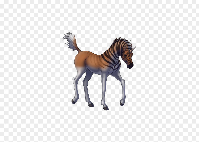 Zebra Quagga Project Mane Mustang PNG