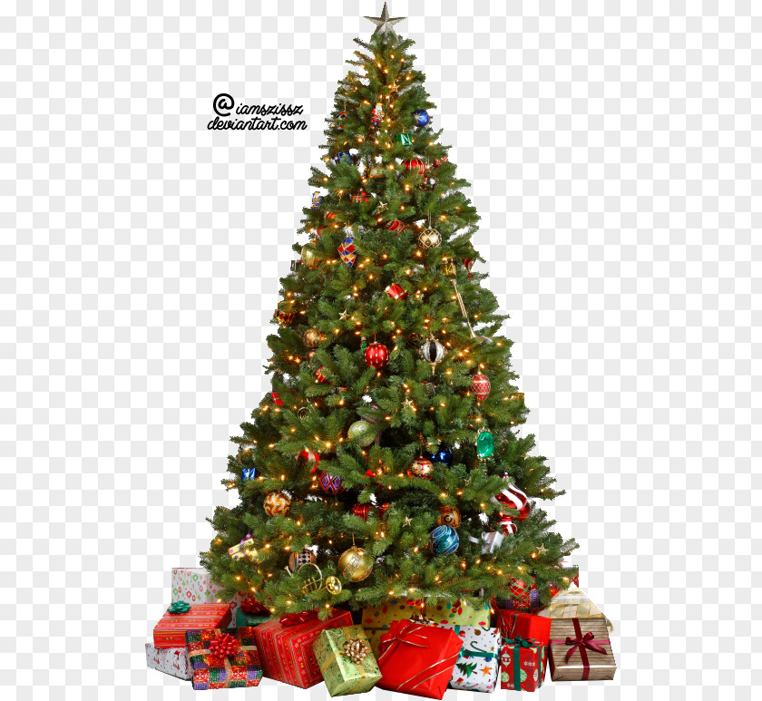 Christmas Tree Photo Clip Art PNG