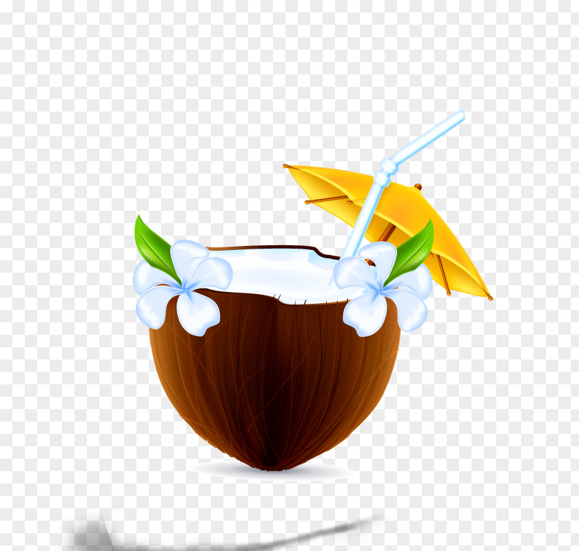 Coconut Milk Nata De Coco PNG