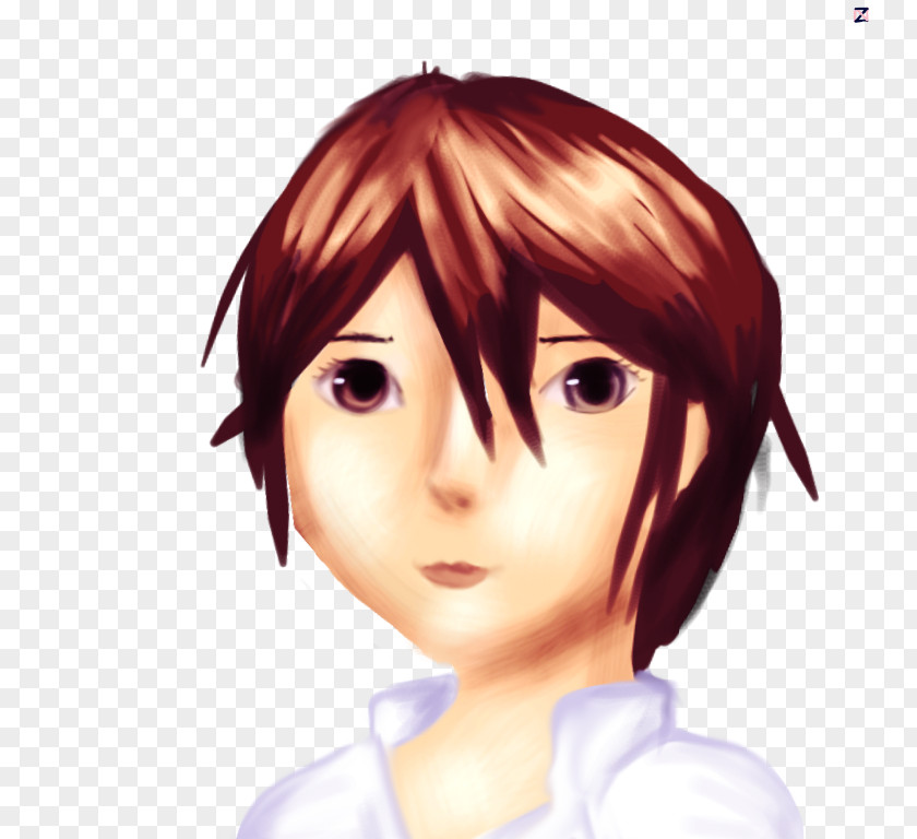 Hair Coloring Eyebrow Bangs Brown PNG