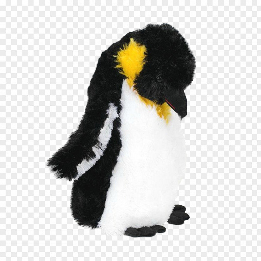 Hurricane Relief King Penguin Fur Beak PNG