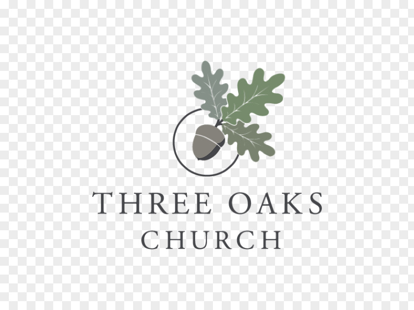 Logo Font Brand Tree PNG