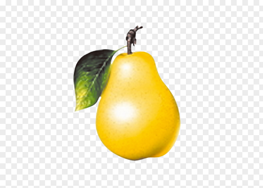 Pear Juice Fruit Vegetable PNG