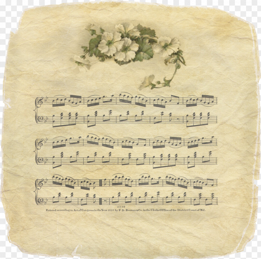 Sheet Music Manuscript Paper Musical Note PNG paper note, sheet music clipart PNG