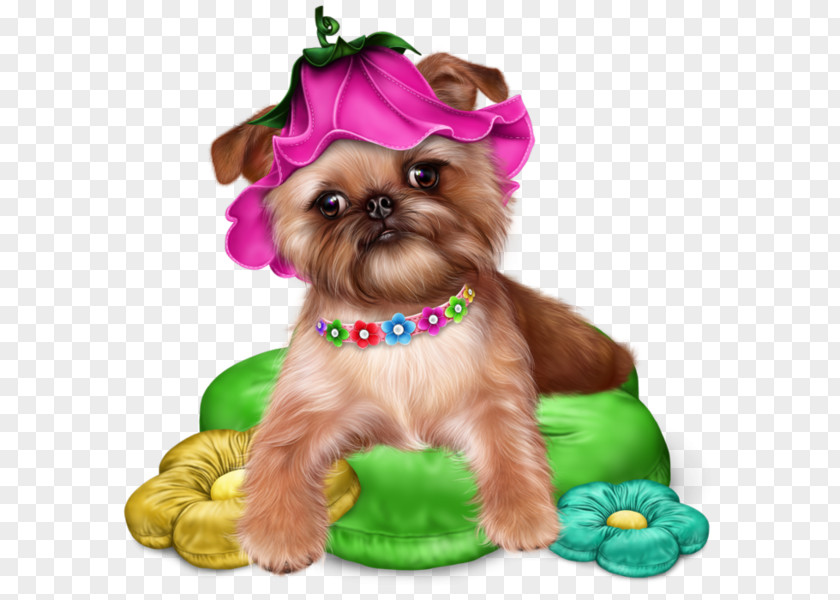 Puppy Shih Tzu Yorkshire Terrier Clip Art Poodle Maltese Dog PNG