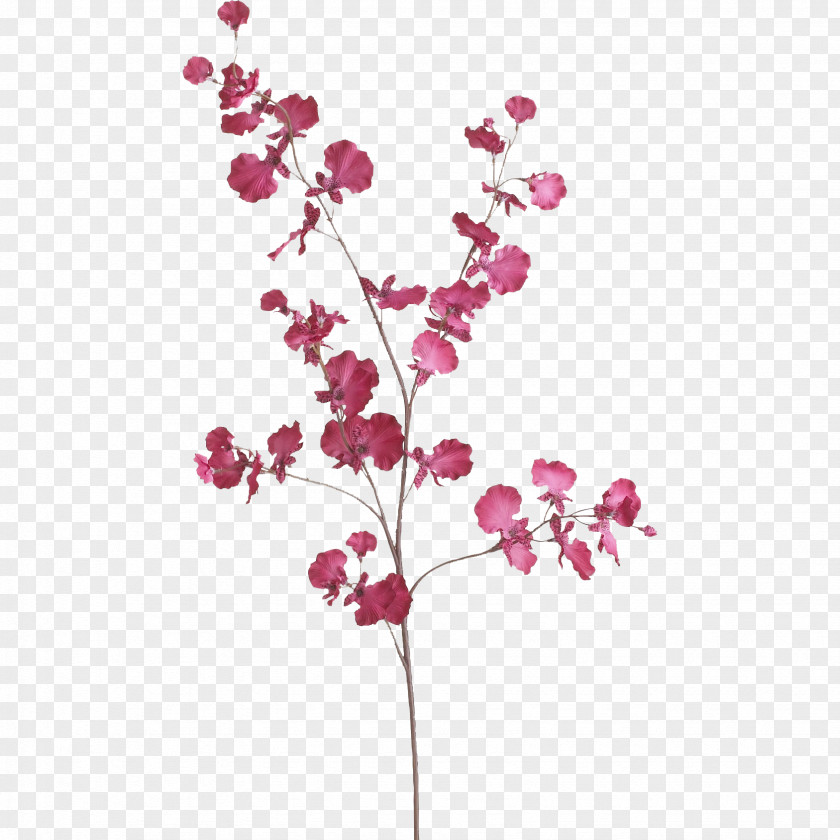 Cherry Blossom DOCKSTA Dining Table Cut Flowers Color PNG