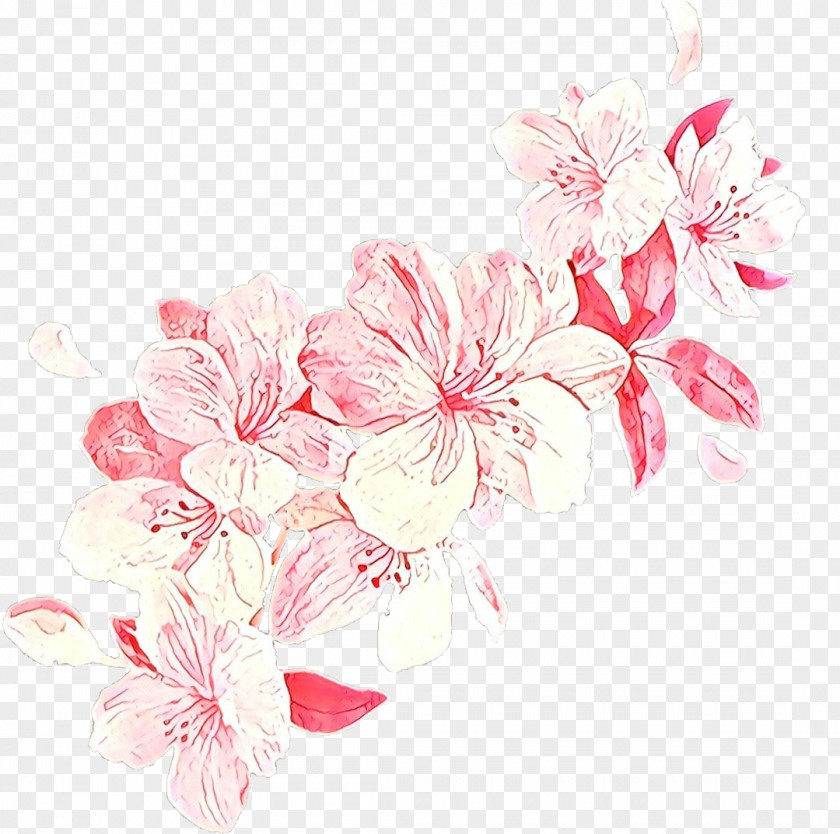 Cut Flowers Branch Cherry Blossom PNG