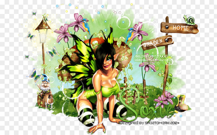 Fairy Insect Desktop Wallpaper PNG
