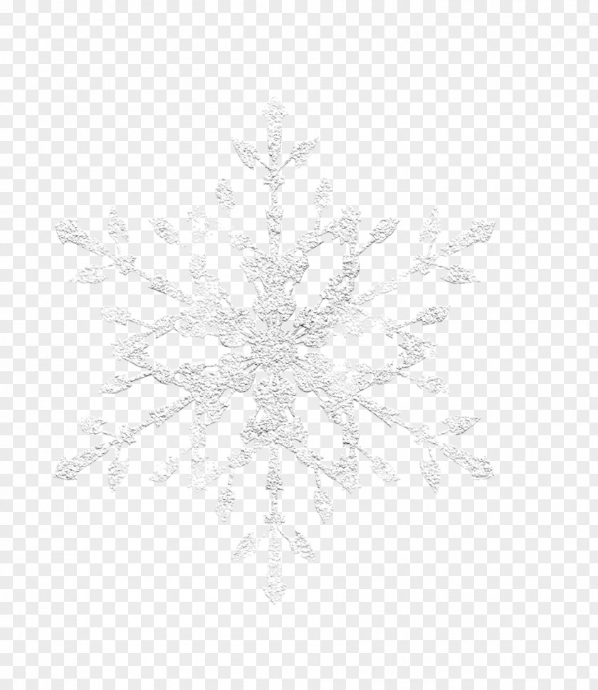 Ice Snowflakes Black And White Pattern PNG