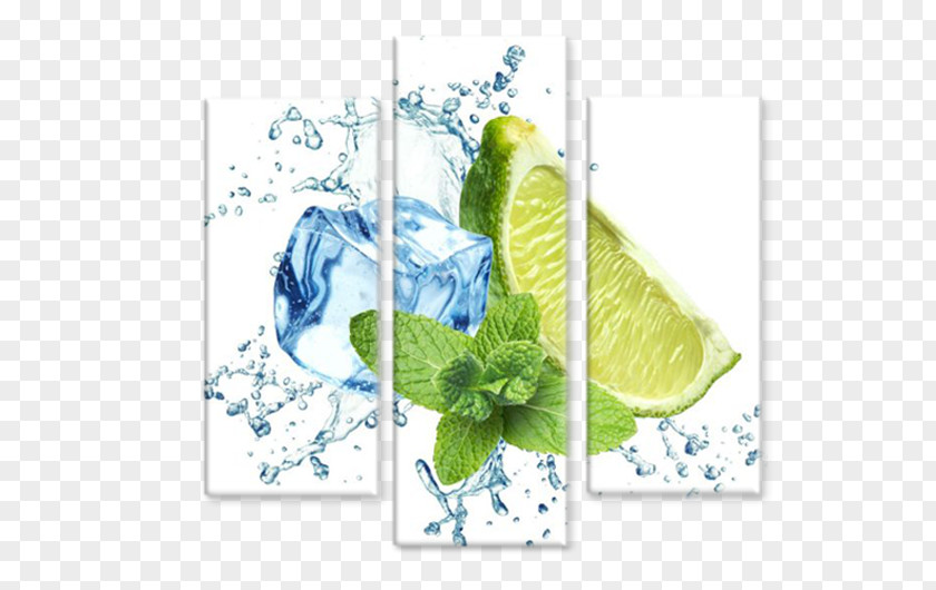 Lemon Ice Cube Mint Water Concentrate PNG