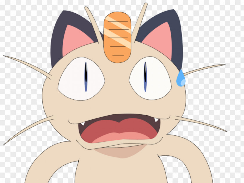Pokemon Whiskers James Meowth Pokémon Pocket Monsters PNG