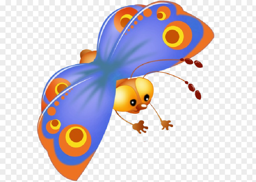 Butterfly Insect Cartoon Clip Art PNG