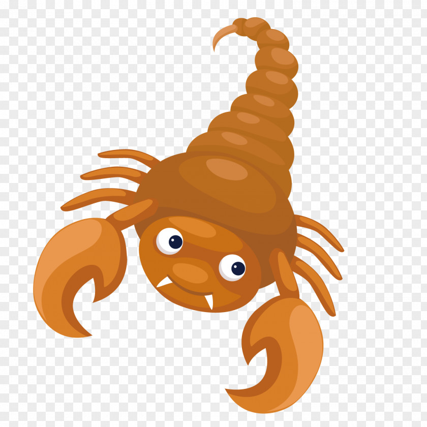 Cute Scorpion Constellation Scorpius PNG