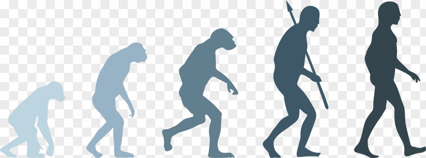 Evolution Neandertal Human Homo Sapiens PNG