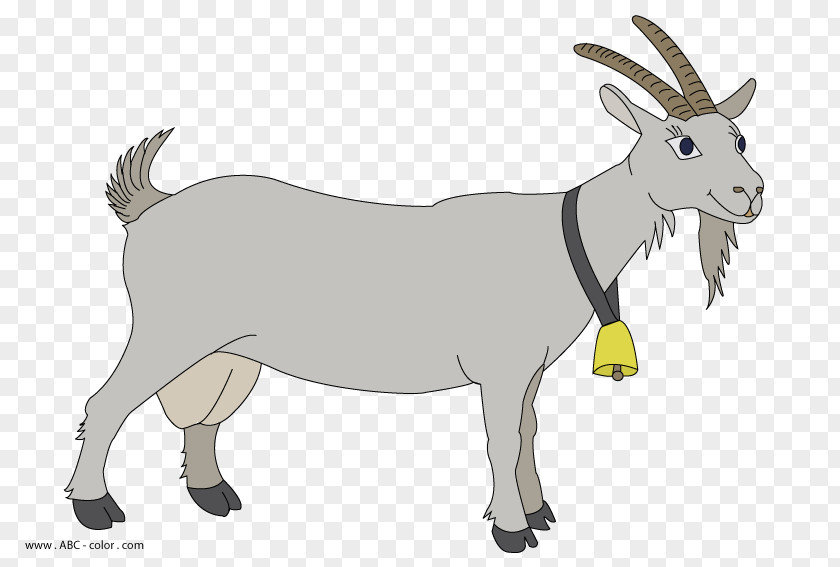 Goat Boer Sheep Cartoon Clip Art PNG
