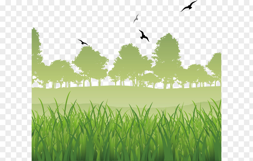 Green Grass Natural Scenery Vector Material Loei Province Metro Forest PTT Public Company Limited Service Food PNG