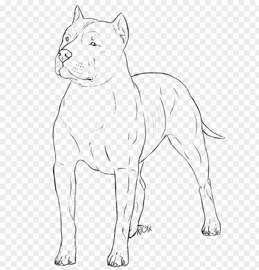 Pitbull American Pit Bull Terrier Bulldog Line Art Drawing PNG