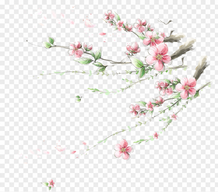 Plum Flower Cherry Blossom Apple Wallpaper PNG