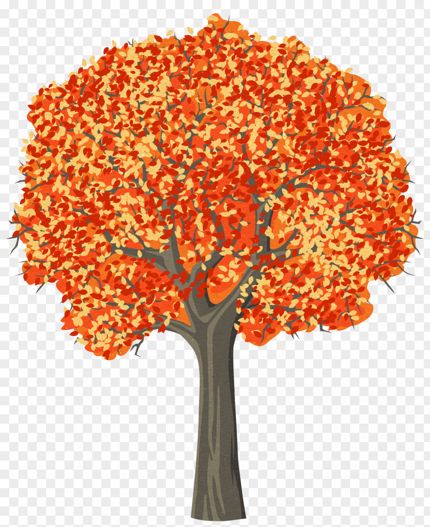 Tree Trees For Kids Pine Clip Art PNG