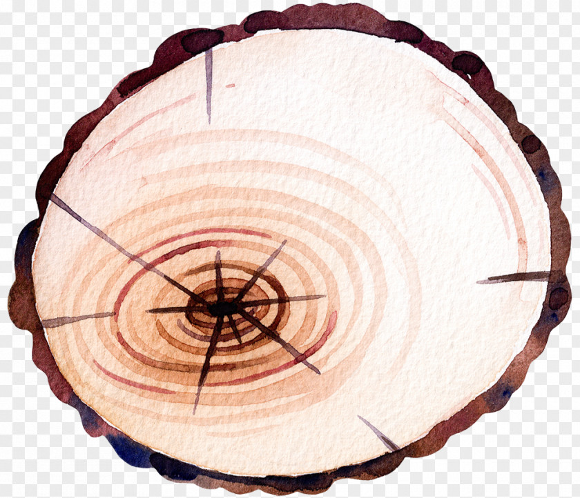 Hand-painted Wood Round Tree PNG
