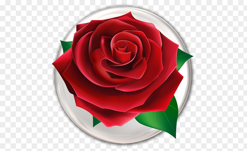 Rose Flower Mania Android Download PNG