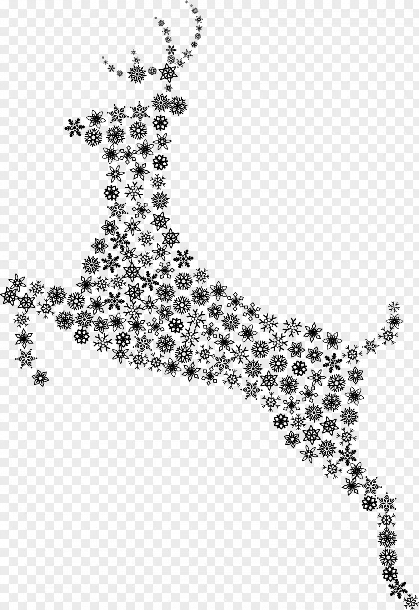 M Mammal Point Pattern Line Black & White PNG