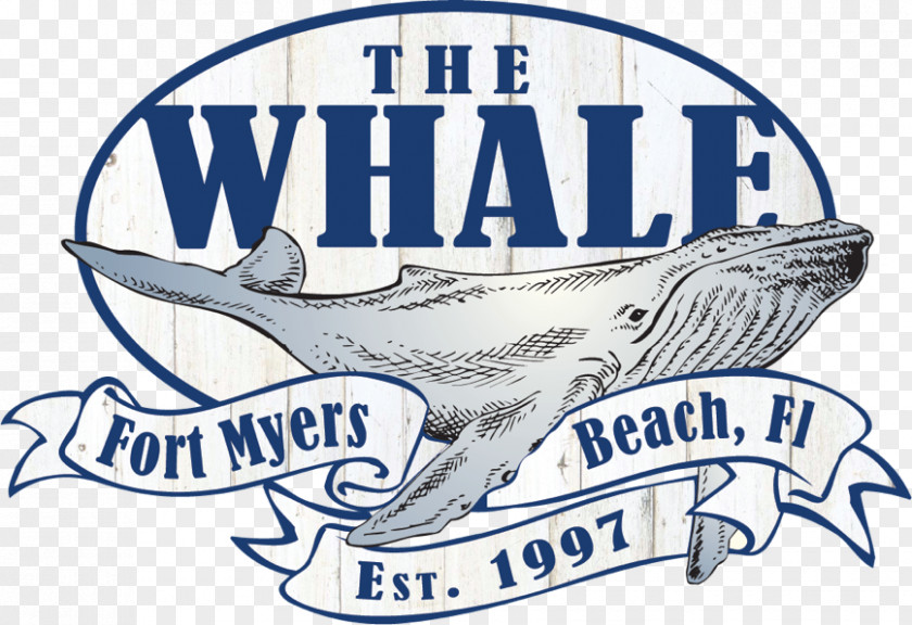 Mexico Happy Hour Themes The Whale Marine Mammal Logo Brand PNG