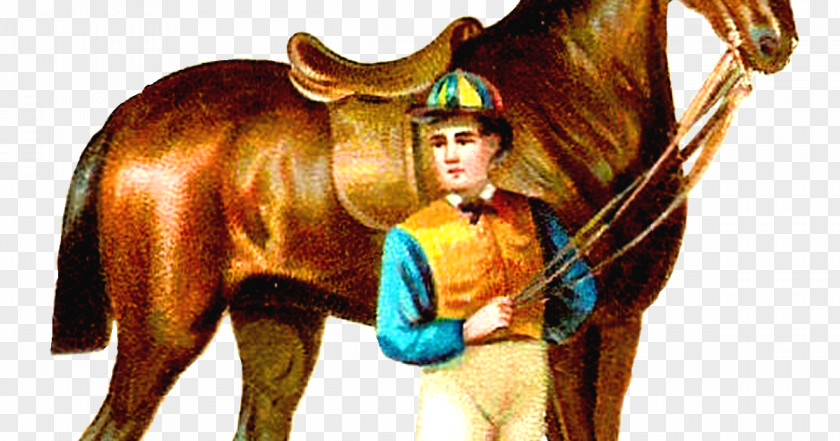 Race Horse Thoroughbred Racing Jockey Equestrian Clip Art PNG