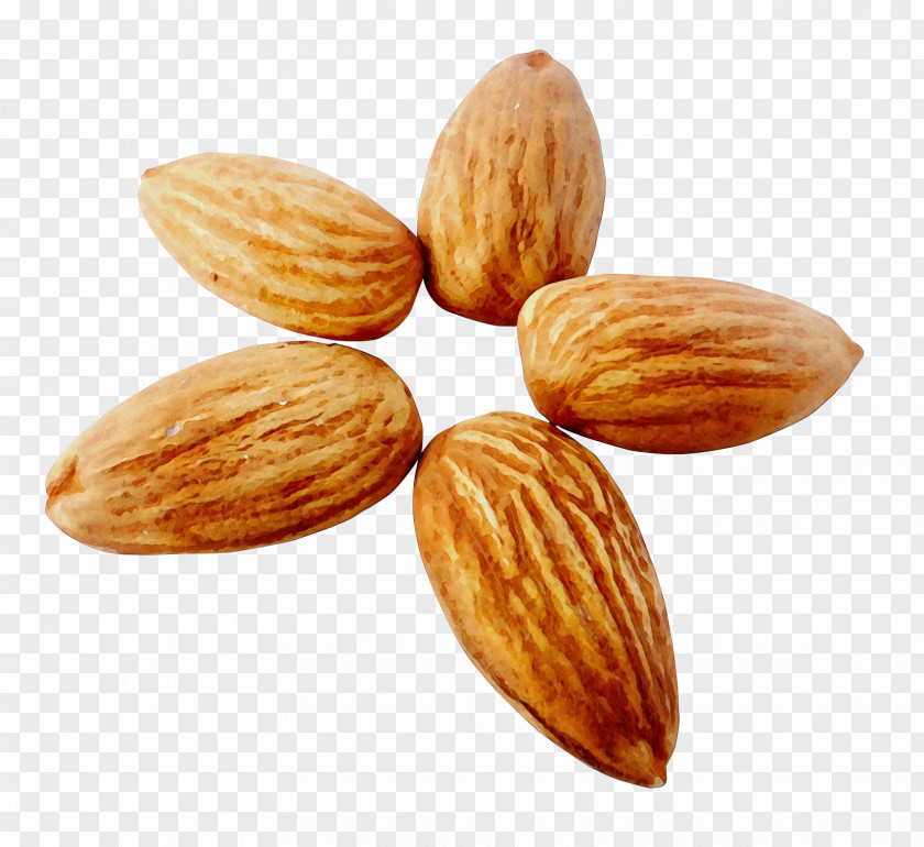 Seed Ingredient Almond Nut Nuts & Seeds Food Apricot Kernel PNG