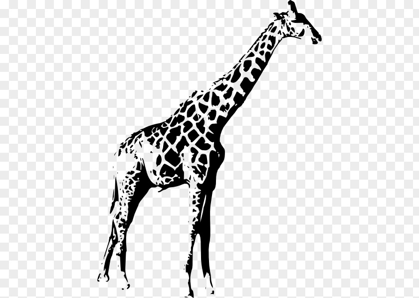 Black Giraffe Animal Clip Art PNG