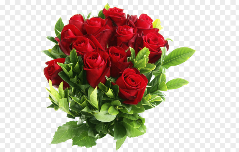 Bouquet Of Roses Flower Rose Clip Art PNG