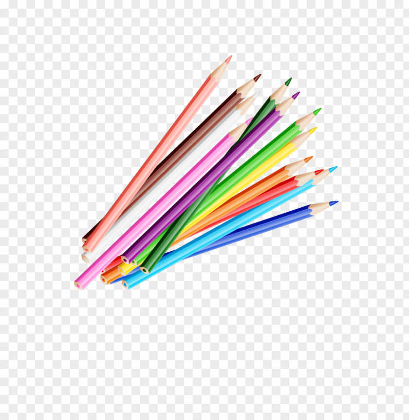 Colored Pencils Pencil Stationery PNG