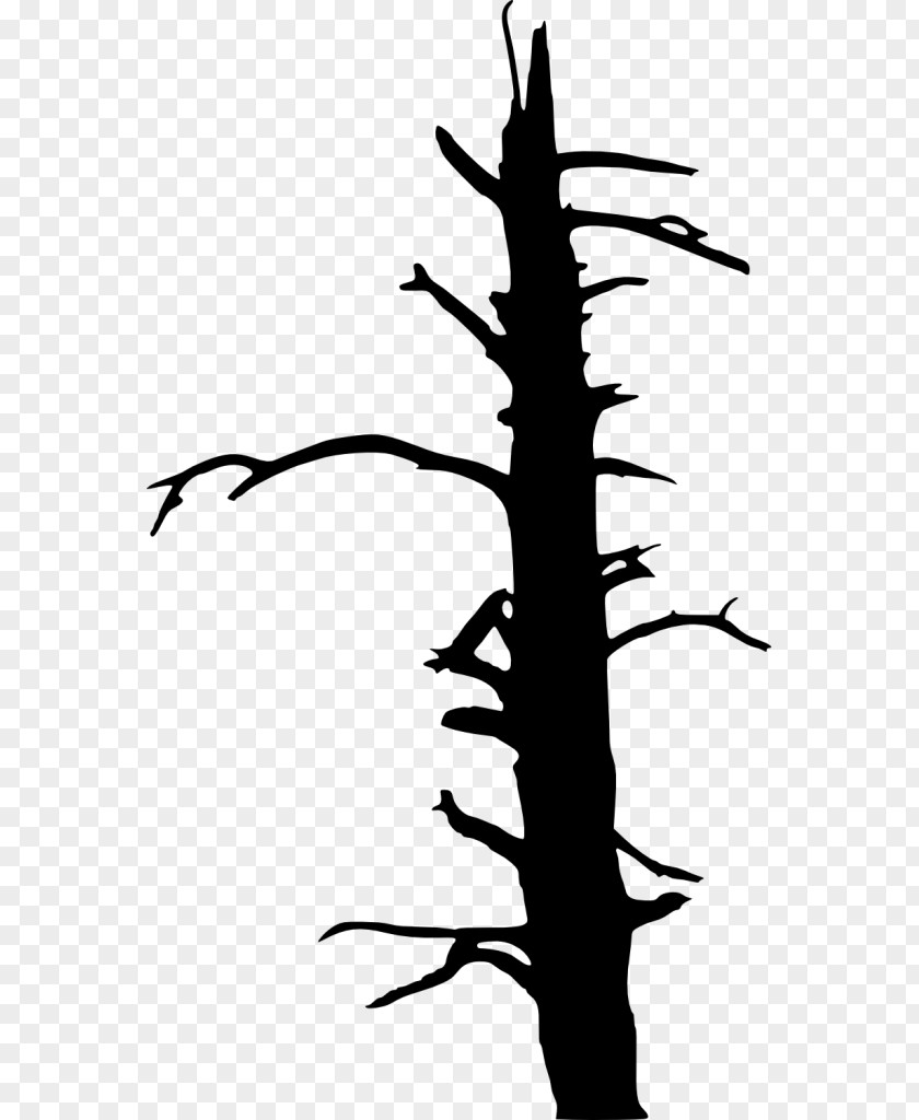 Dead Tree Twig Drawing Clip Art PNG