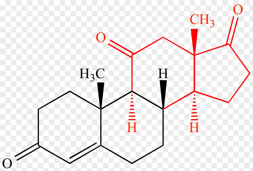 Organic Chemistry Chemical Formula Aldosterone Estradiol Compound Androstenedione PNG