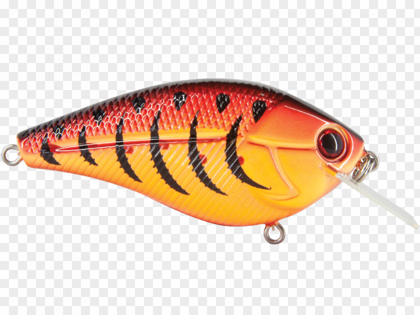 Spoon Lure Perch Fish AC Power Plugs And Sockets PNG