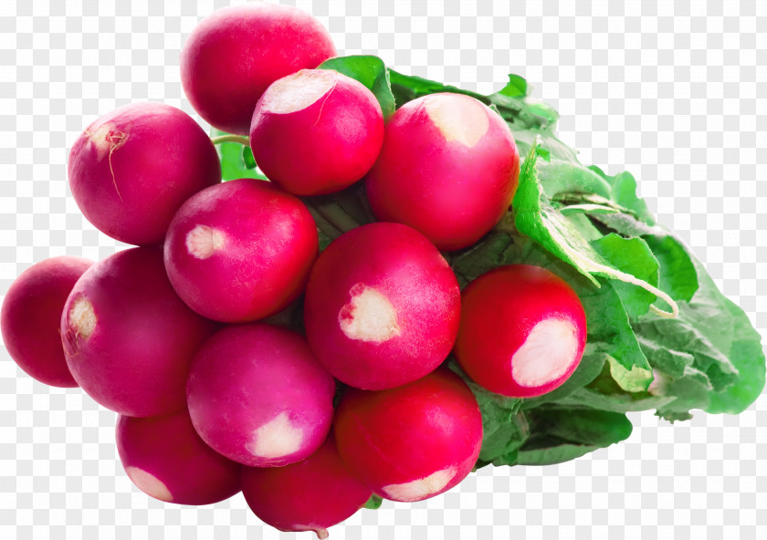 Vegetable Garden Radish Desktop Wallpaper Food Image PNG