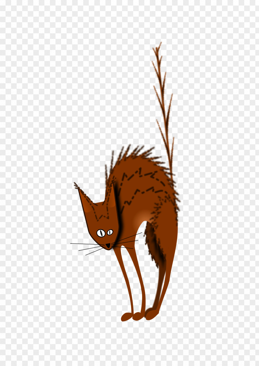 Cats Cat Kitten Clip Art PNG