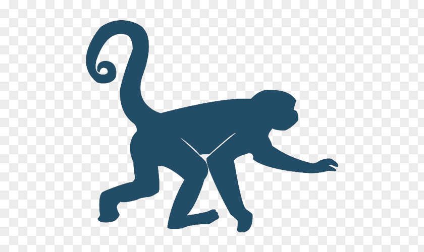 Clip Art Extinction Threatened Species Primate Monkey PNG