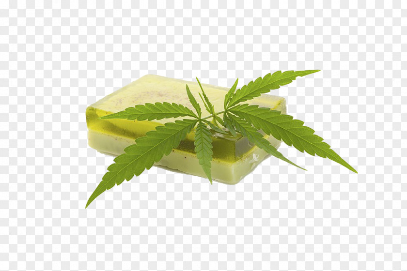 Marijuana Leaves And Soap Hemp Milk Cosmetics Cannabis Cream PNG