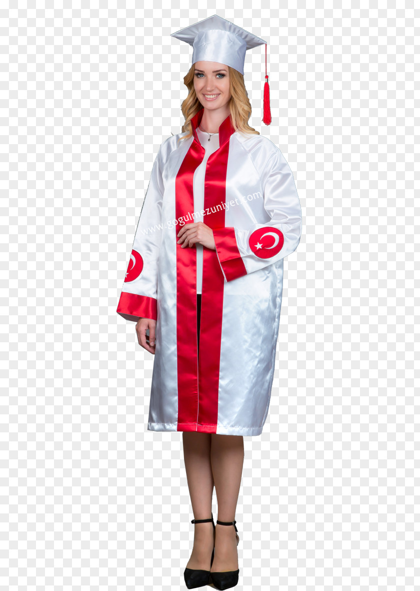 Mezuniyet Robe Academician Academic Dress Clothing Costume PNG