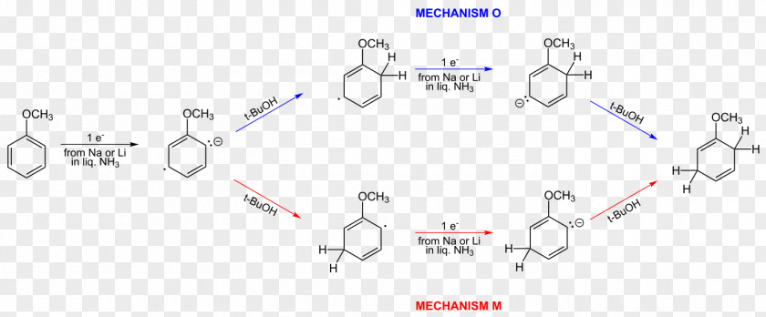 Om Birch's On The Lake Brewhouse & Supperclub Birch Reduction Radical Benkeser Reaction Substituent PNG