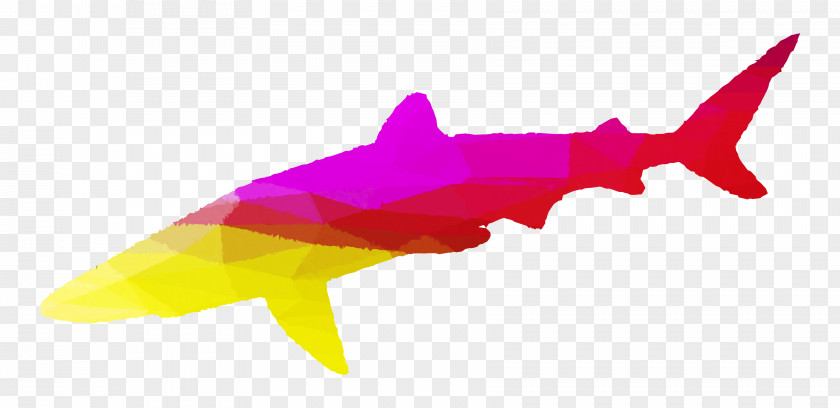 Shark Pink M Marine Mammal Silhouette PNG