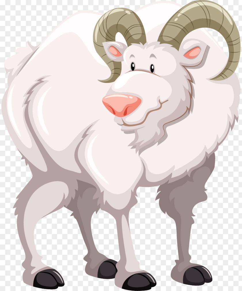 Vector Cartoon White Goat Sheep Royalty-free Illustration PNG
