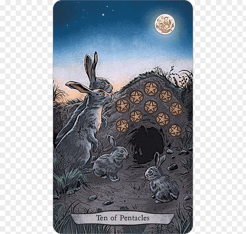 DECK OF Cards Animal Totem Tarot The Fool Llewellyn Worldwide PNG